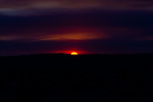 20220419Sunset-128.jpg